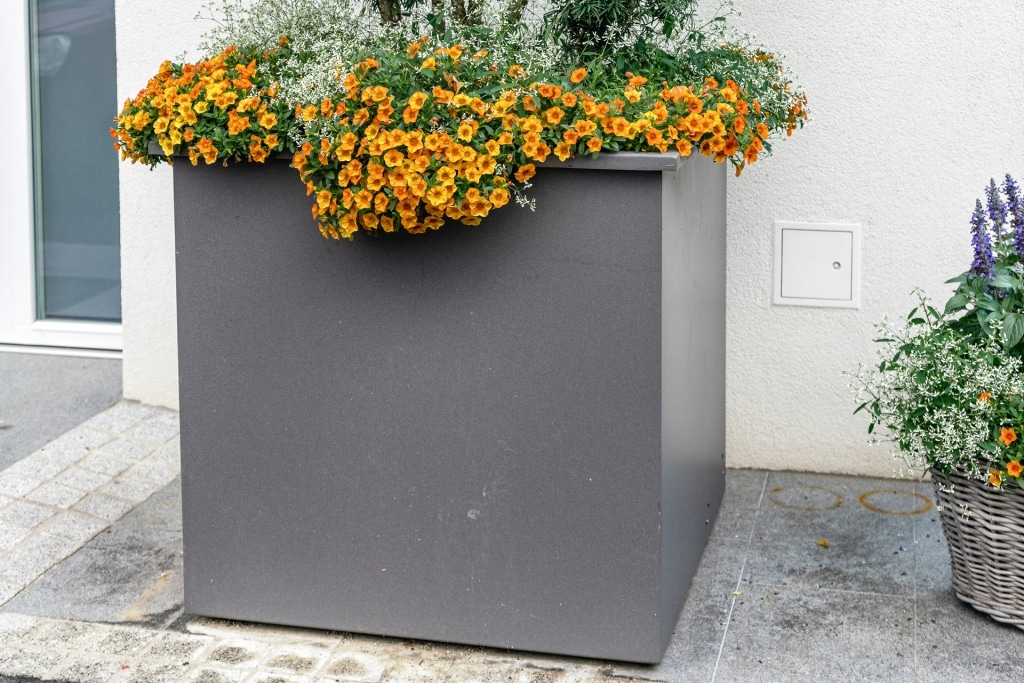 S 23 a | Übergrößen Blumentopf aus Aluminium grau beschichtet, Quadratisch, orange Blumen | Svoboda